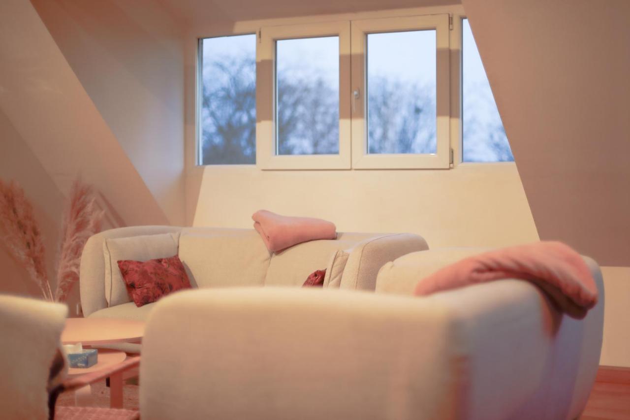 Villa Avec Vue Panoramique Charleville-Mézières エクステリア 写真